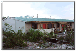 Click for larger image